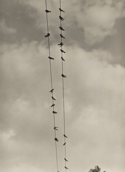  av Alfred Stieglitz