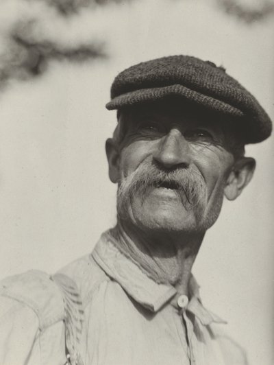  av Alfred Stieglitz
