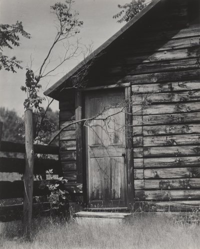  av Alfred Stieglitz