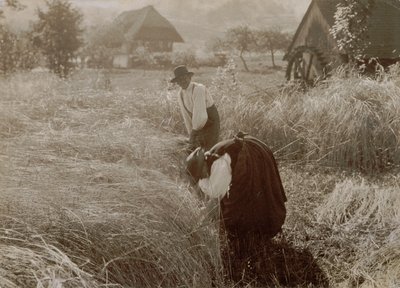  av Alfred Stieglitz