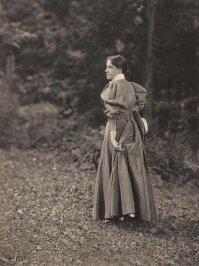  av Alfred Stieglitz
