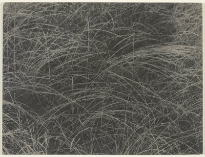 Tilsvarende av Alfred Stieglitz