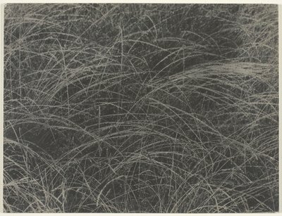 Tilsvarende, 1927. av Alfred Stieglitz