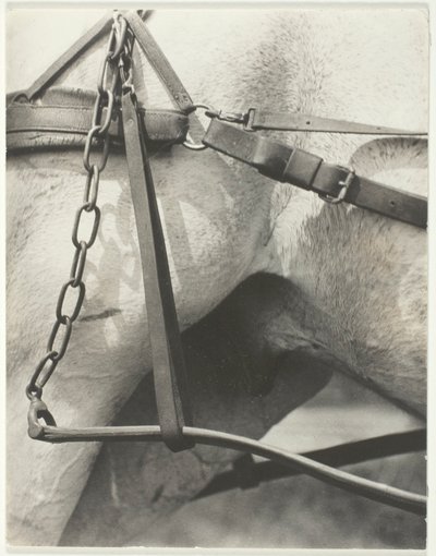 Tilsvarende, Spiritual America av Alfred Stieglitz