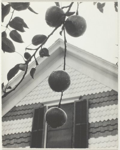 Gavl og epler av Alfred Stieglitz