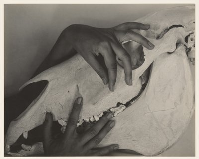  av Alfred Stieglitz