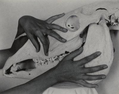  av Alfred Stieglitz