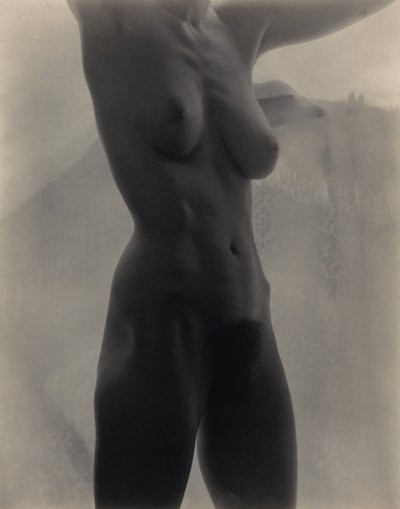  av Alfred Stieglitz