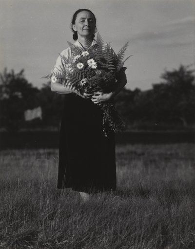  av Alfred Stieglitz