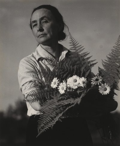  av Alfred Stieglitz