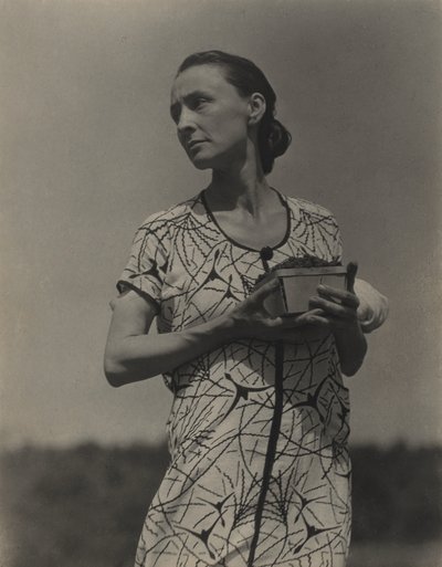  av Alfred Stieglitz