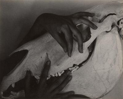  av Alfred Stieglitz