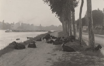  av Alfred Stieglitz