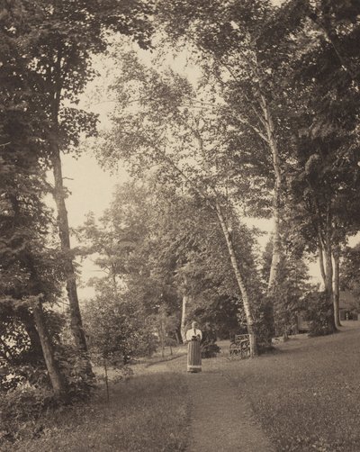  av Alfred Stieglitz