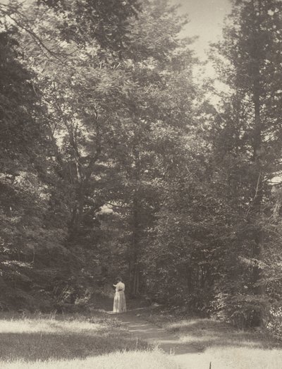  av Alfred Stieglitz