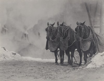  av Alfred Stieglitz