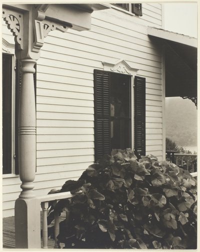  av Alfred Stieglitz