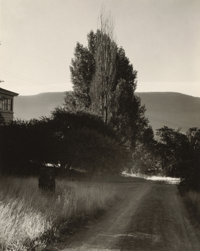  av Alfred Stieglitz