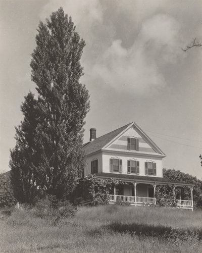  av Alfred Stieglitz