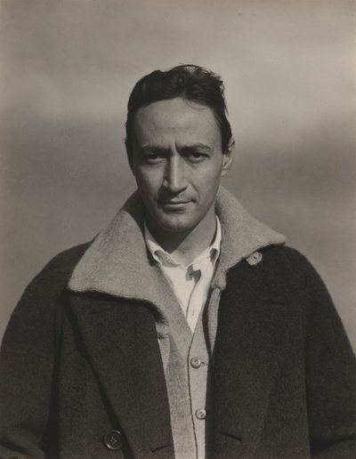  av Alfred Stieglitz