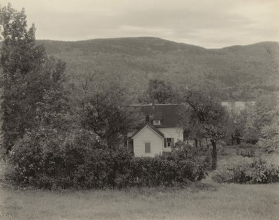  av Alfred Stieglitz