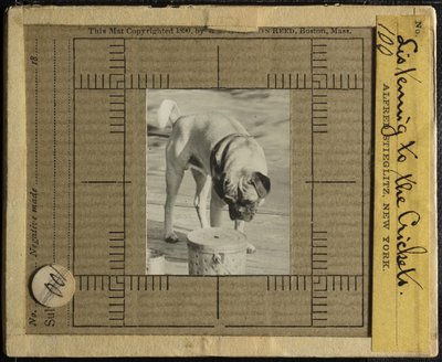 Lytte til crickets, ca. 1900. av Alfred Stieglitz