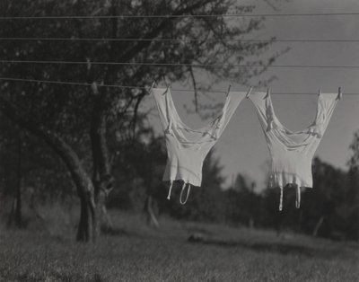  av Alfred Stieglitz