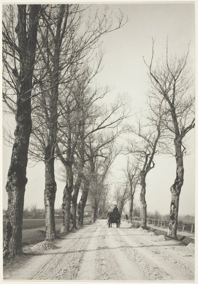 novemberdager av Alfred Stieglitz