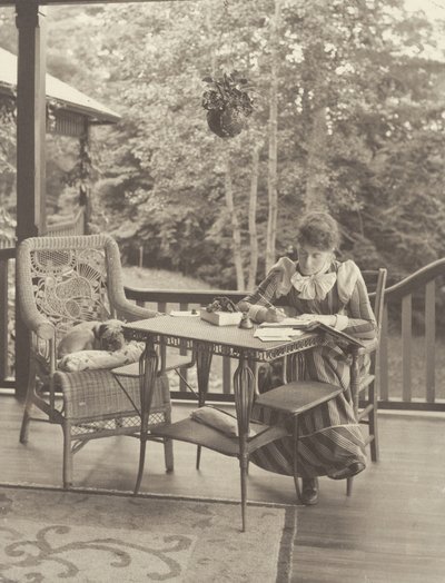  av Alfred Stieglitz