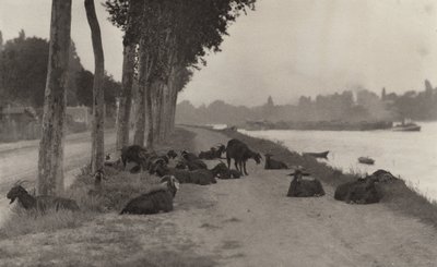  av Alfred Stieglitz