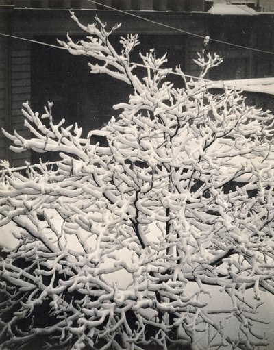 Ut av vinduet - 291 - N.Y. av Alfred Stieglitz