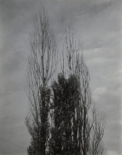  av Alfred Stieglitz