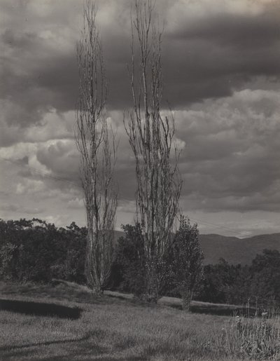  av Alfred Stieglitz