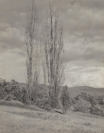 av Alfred Stieglitz