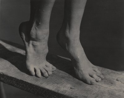  av Alfred Stieglitz