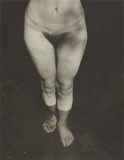 Rebecca Salsbury Strand, 1922.    1194660   no       norwegian Successfully Translated  Original: The Wild Horse, or Frightened Horse Leaving the Water Translat: The Wild Horse, or Frightened Horse Leaving the Water 1308089 no norwegian Successfully Transl av Alfred Stieglitz
