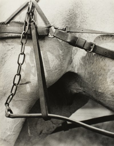 Spiritual America: Songs of the Sky A1 av Alfred Stieglitz