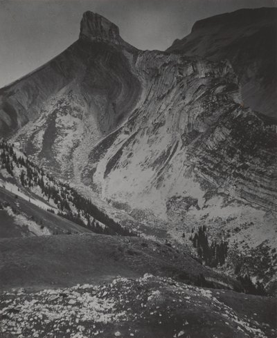  av Alfred Stieglitz