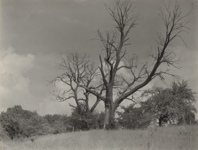  av Alfred Stieglitz