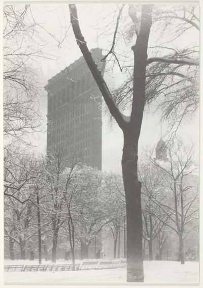 Flatjernet av Alfred Stieglitz