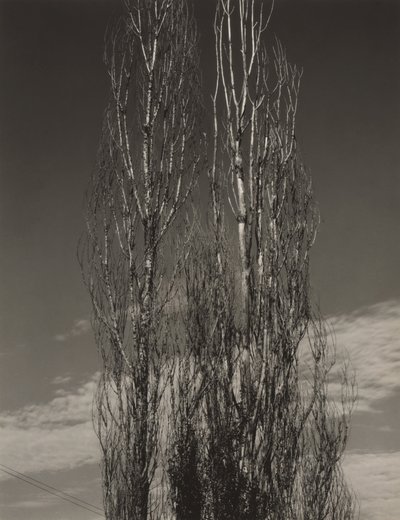  av Alfred Stieglitz