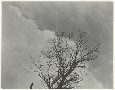 Tresett 3 av Alfred Stieglitz
