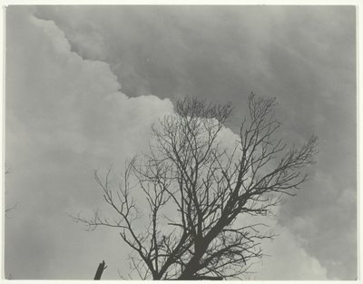 Tresett 3, ca. 1924. av Alfred Stieglitz