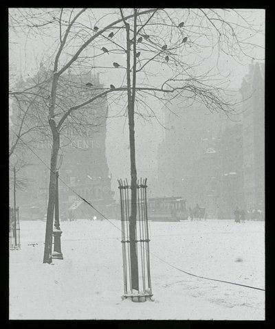  av Alfred Stieglitz