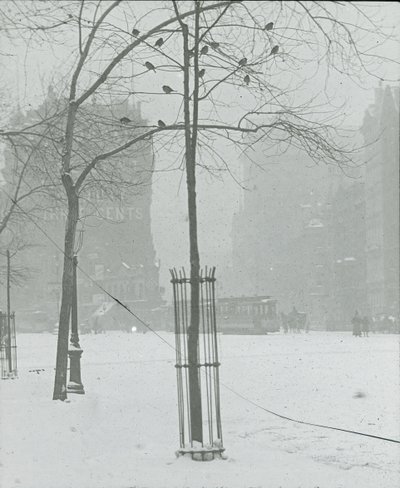 Tre i Snow, New York City, 190002. av Alfred Stieglitz
