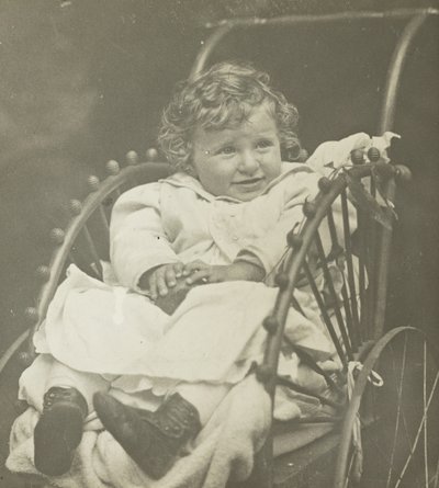 Uten tittel Howard Schubart in Carriage, 1893. av Alfred Stieglitz