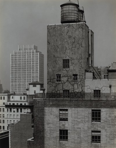  av Alfred Stieglitz