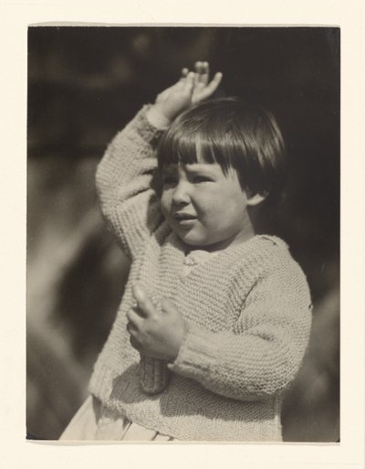  av Alfred Stieglitz