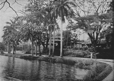 Kandy - A Picturesque Corner of the Lake, c1890, 1910 av Alfred William Amandus Plate