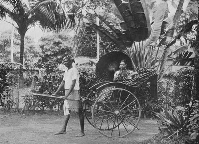 Tamilsk dame i Rickshaw, c1890, 1910 av Alfred William Amandus Plate